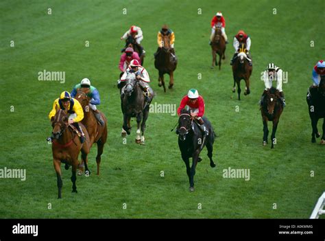 English race course. .